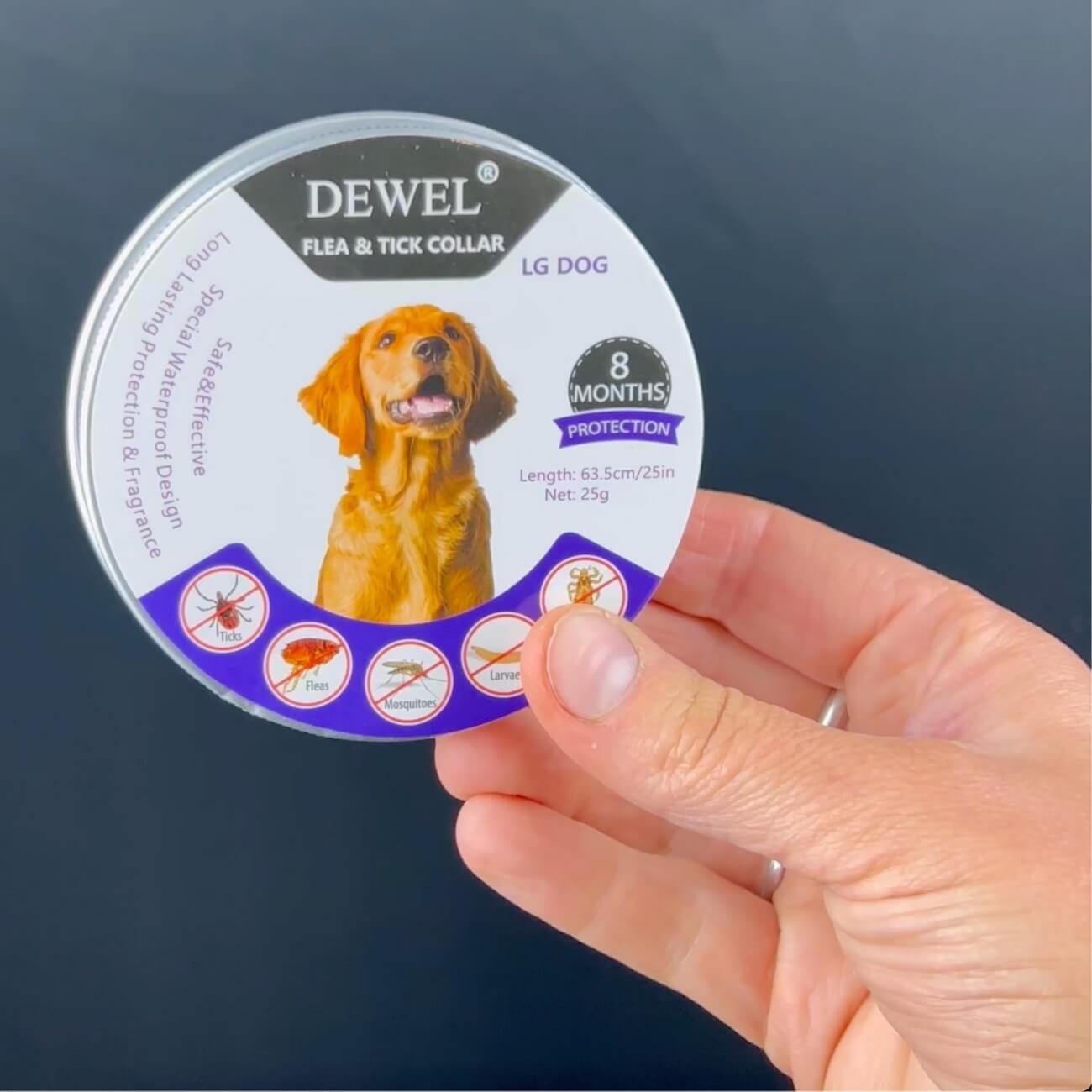 What Real Dog Owners Experience After Switching to the DEWEL Collar
