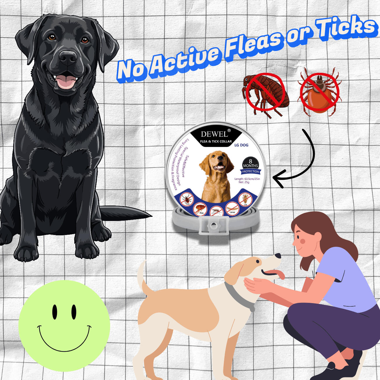 Why the DEWEL Flea & Tick Collar for Dogs Is the Right Choice for Every Responsible Dog Owner